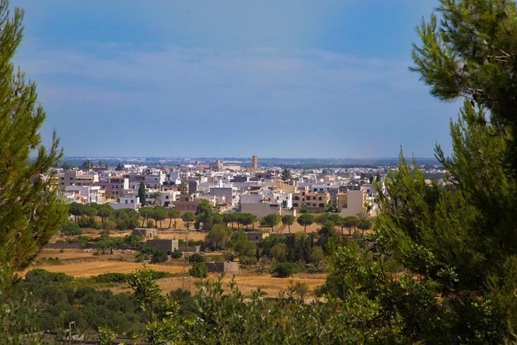 Pajare Fusaro Specchia Bagian luar foto